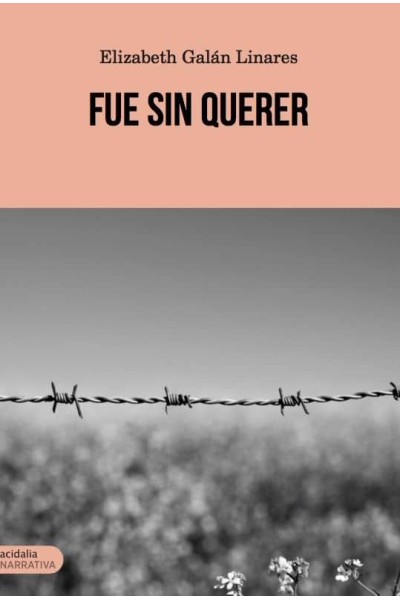 FUE SIN QUERER