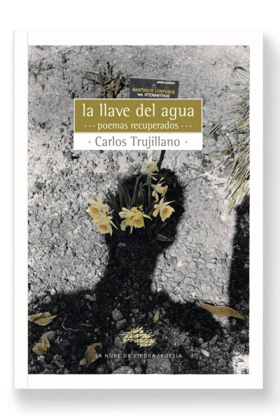 LA LLAVE DEL AGUA