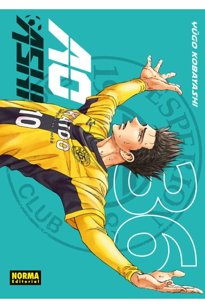 AO ASHI 36