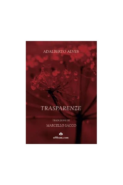 TRASPARENZE