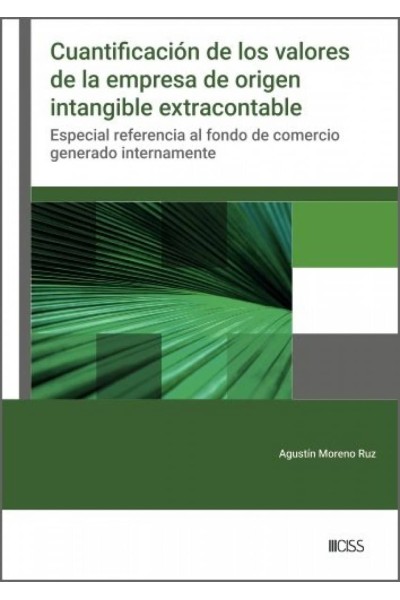 CUANTIFICACIÓN DE LOS VALORES DE LA EMPRESA DE ORIGEN INTANGIBLE EXTRA