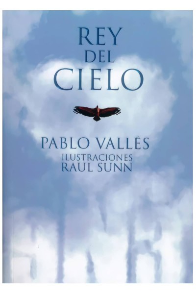 9N3 - REY DEL CIELO