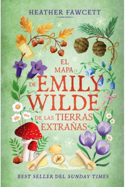 EL MAPA DE EMILY WILDE DE LAS TIERRAS EXTRAÑAS