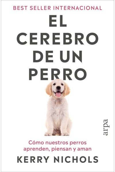 EL CEREBRO DE UN PERRO
