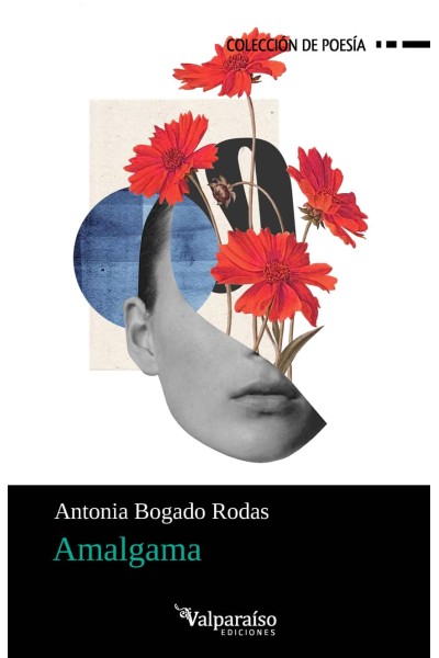 AMALGAMA