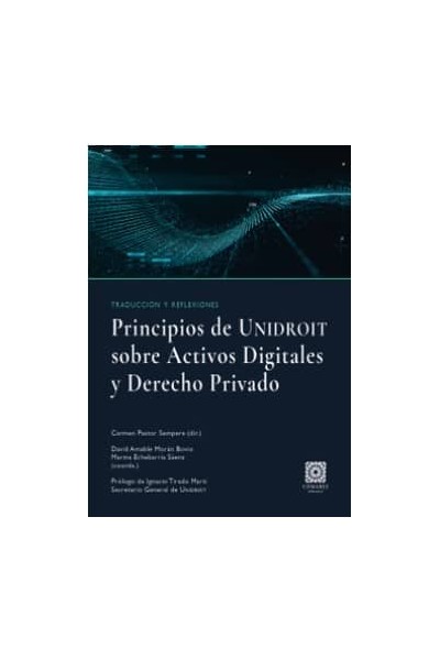 PRINCIPIOS DE UNIDROIT SOBRE LOS ACTIVOS DIGITALES Y DERECHO PRIVADO