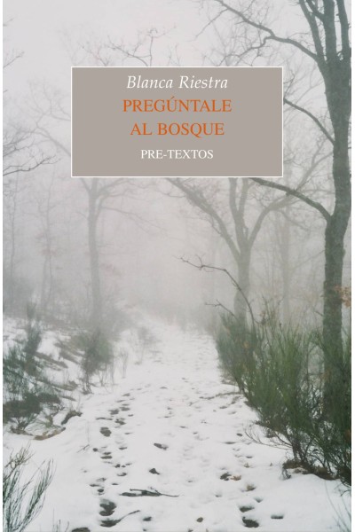 PREGÚNTALE AL BOSQUE