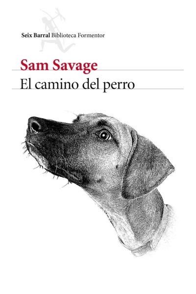 EL CAMINO DEL PERRO