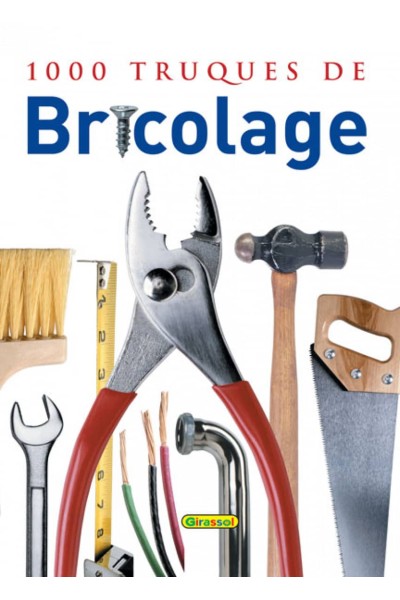 1000 TRUQUES DE BRICOLAGE