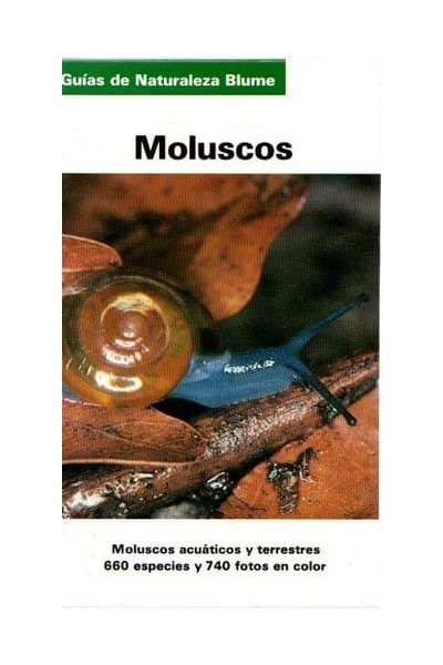 Moluscos moluscos europeos marinos y de interior
