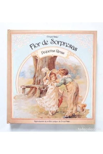Flor de sorpresas pequeñas rimas