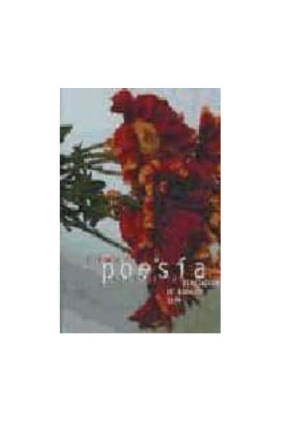 V Premio de Poesía Experimental Diputación de Badajoz 2006