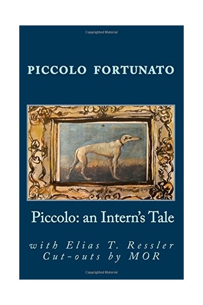 Piccolo: An Intern's Tale