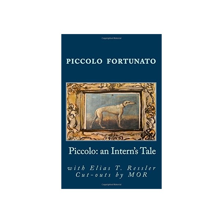 Piccolo: An Intern's Tale